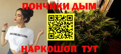 эйфоретик Тара